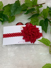 Load image into Gallery viewer, Maroon Organza Dhaliya
