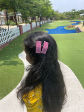 Load image into Gallery viewer, Pink Snap Clips
